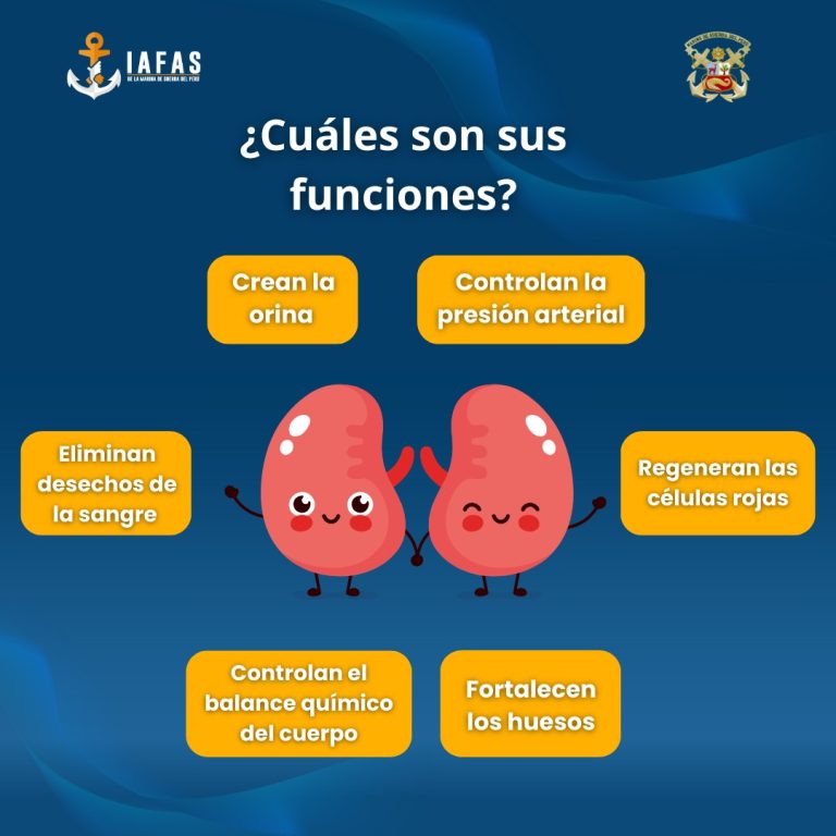 Imagen de WhatsApp 2025-03-13 a las 11.54.50_688801dd